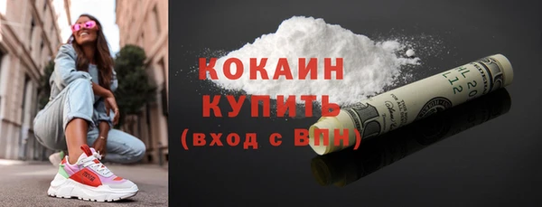 твердый Каменск-Шахтинский