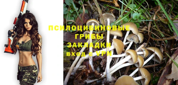 твердый Каменск-Шахтинский