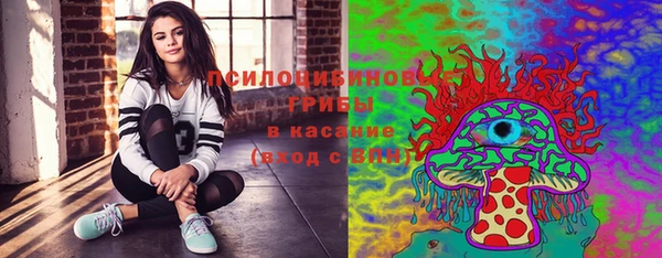 МДМА Каменка
