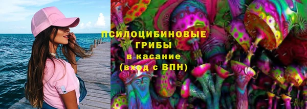 твердый Каменск-Шахтинский