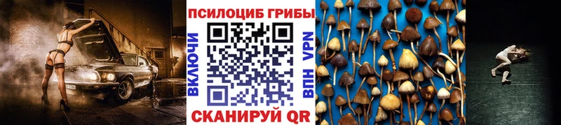 Купить  Руза  Псилоцибиновые грибы Cubensis 